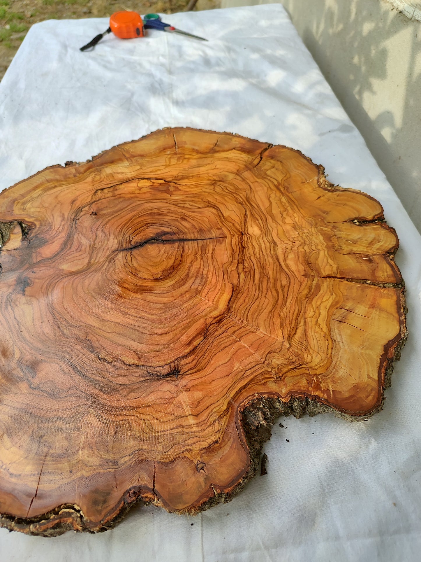 Rare Olive Wood Live Edge Slab – Unique Grain Sustainable Luxury for Epoxy Table & Craft - Olive Generic
