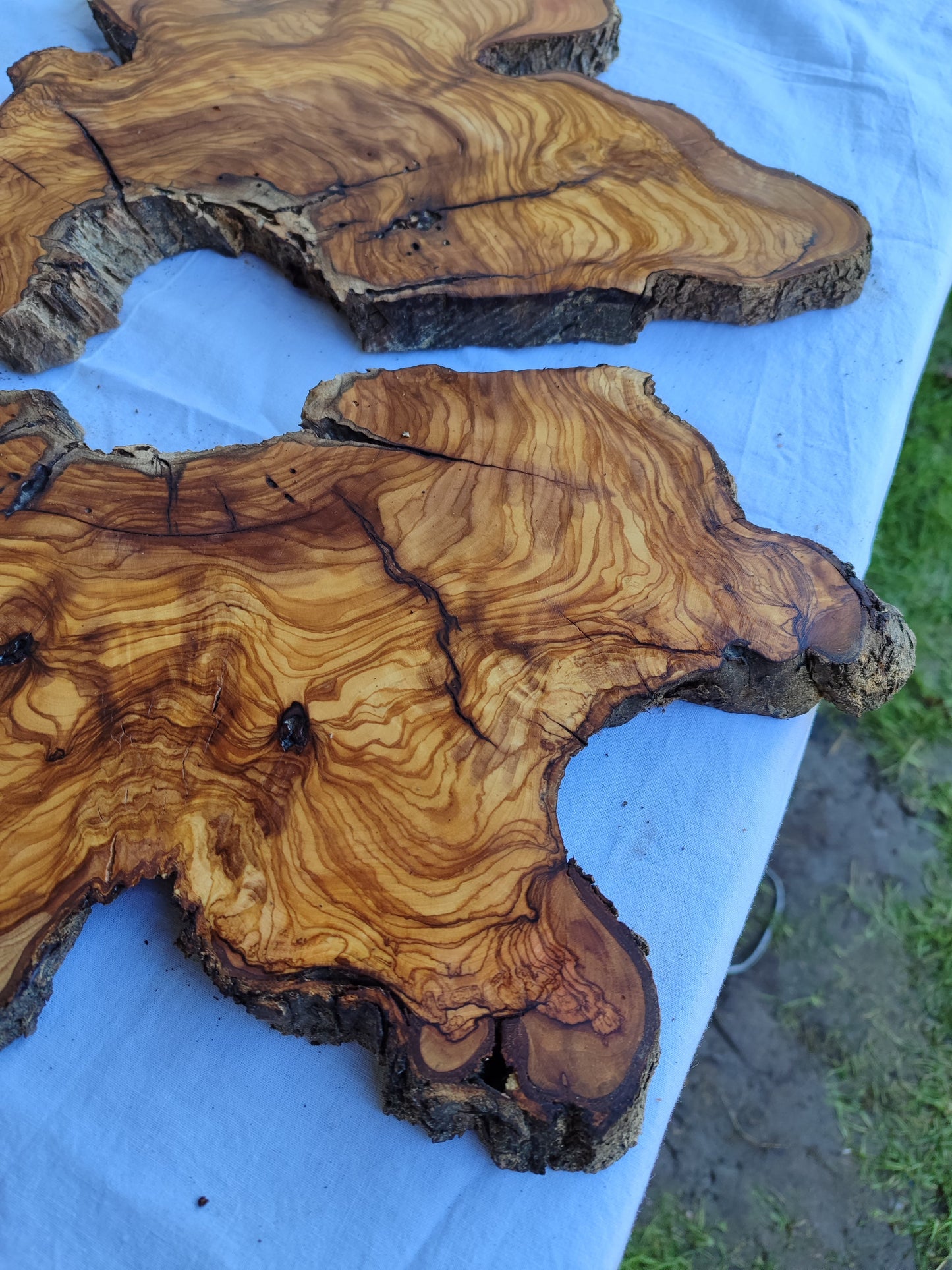 Rare Olive Wood Slab Set 2pcs 53x53cm - Super Dry 3% Moisture - Live Edge for Epoxy Resin, Guitar Body & Luxury Decor - Unique Grain.