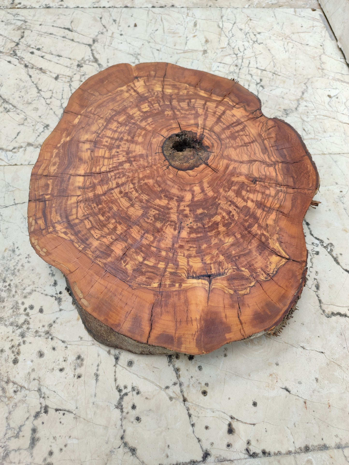 Rare Olive Wood Slab – Live Edge, Unique Grain – Sustainable Luxury for Epoxy, Table & Craft
