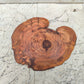 Rare Live Edge Olive Wood Slab - Premium 100% Natural - Unique Grain - Sustainable Luxury - 32x38x2.49 cm