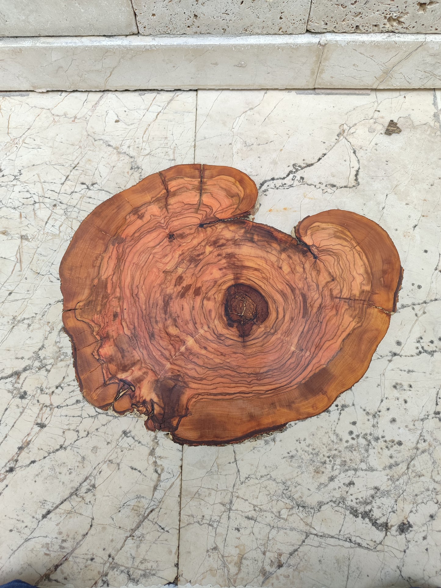 Rare Live Edge Olive Wood Slab - Premium 100% Natural - Unique Grain - Sustainable Luxury - 32x38x2.49 cm