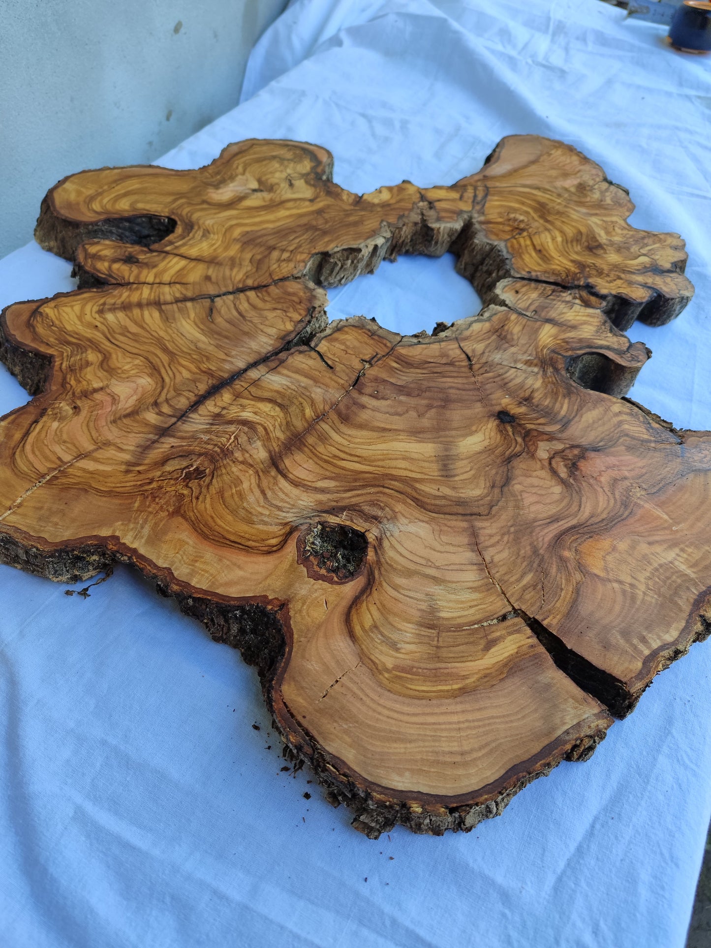 Rare Olive Wood Slab 51x51cm | Live Edge for Epoxy Resin & Coffee Table.