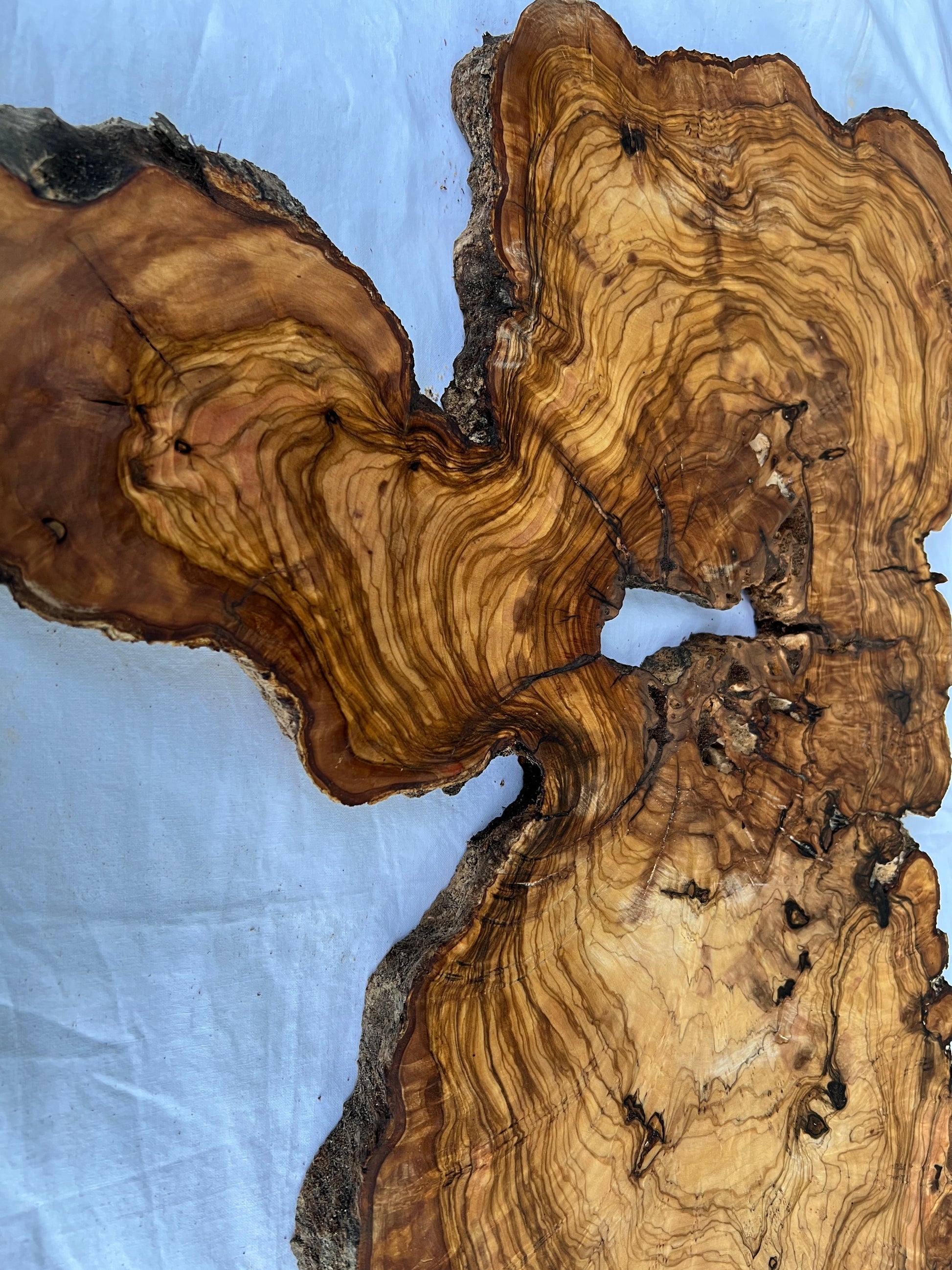 Rare Live Edge Olive Wood Slab (44x64cm) - Super Dry Epoxy Resin Lumber for Coffee Table, Clock & Guitar Body - Unique Natural Grain Art.