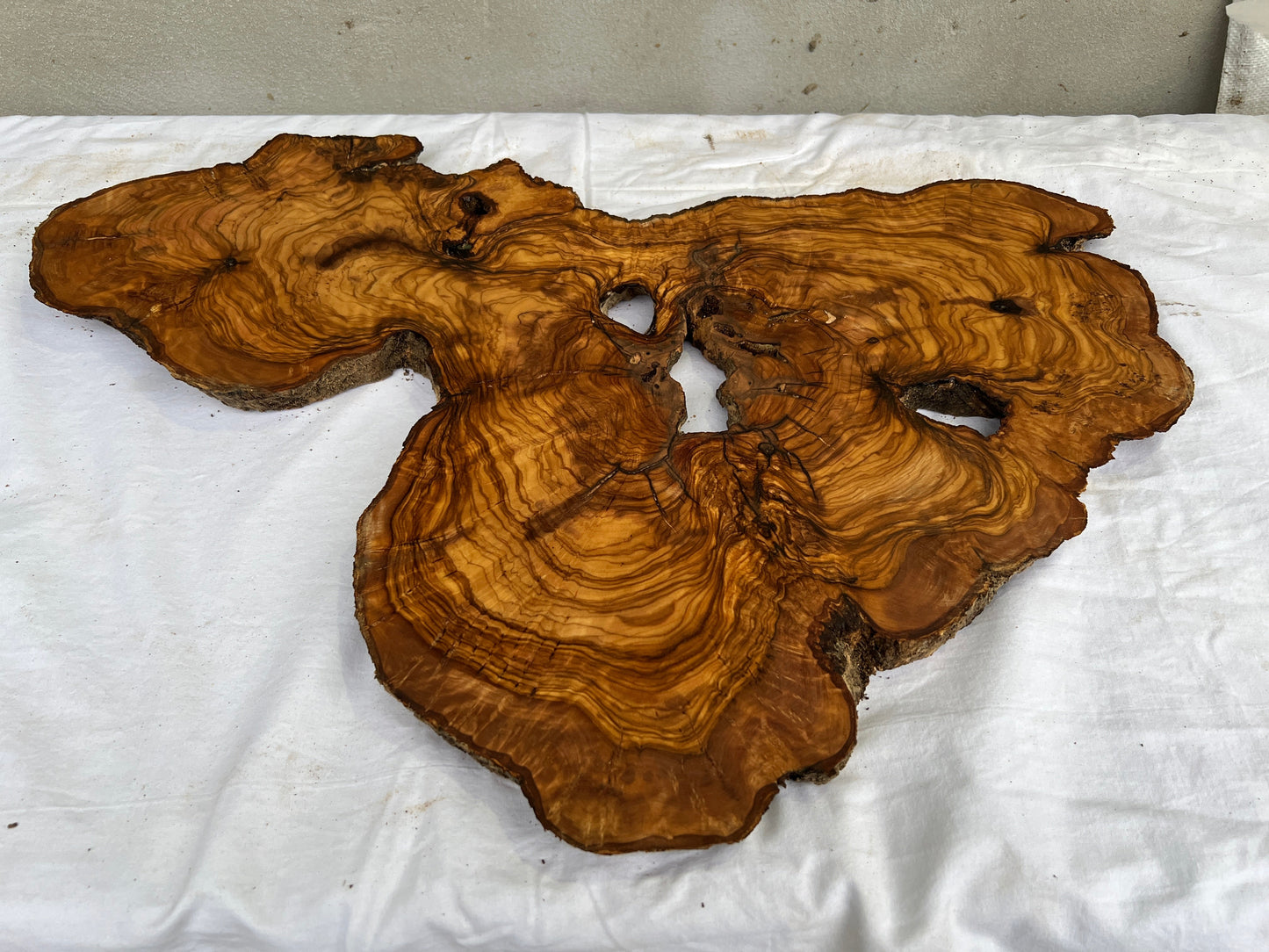 Rare Olive Wood Slab Live Edge 37x60cm | Unique Grain for Epoxy Resin & Coffee Table | Premium Luthier Wood | Sustainable Luxury Art.