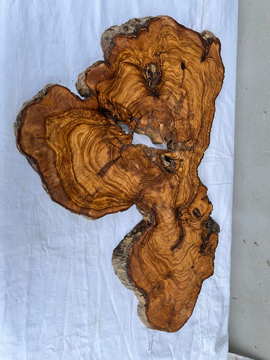 Rare Live Edge Olive Wood Slab 38x61cm - Premium Dry Luthier Lumber for Epoxy Resin Art, Coffee Tables & Unique Guitar Bodies.