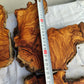 Rare Olive Wood Slab 53x55cm - Live Edge for Epoxy Resin & Coffee Table.