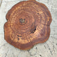 Rare Olive Wood Slab – Live Edge, Unique Grain, Sustainable Luxury – 33x39x2.5cm