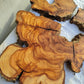 Rare Olive Wood Slab 53x55cm - Live Edge for Epoxy Resin & Coffee Table.