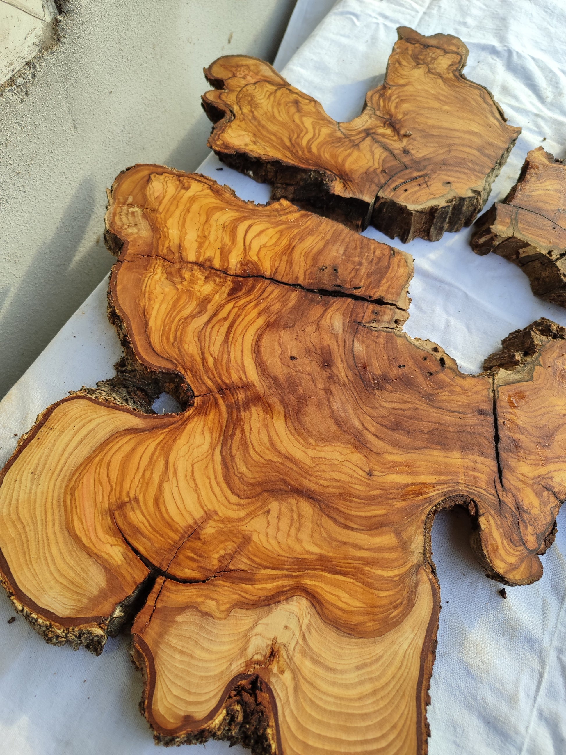Rare Olive Wood Slab 53x55cm - Live Edge for Epoxy Resin & Coffee Table.