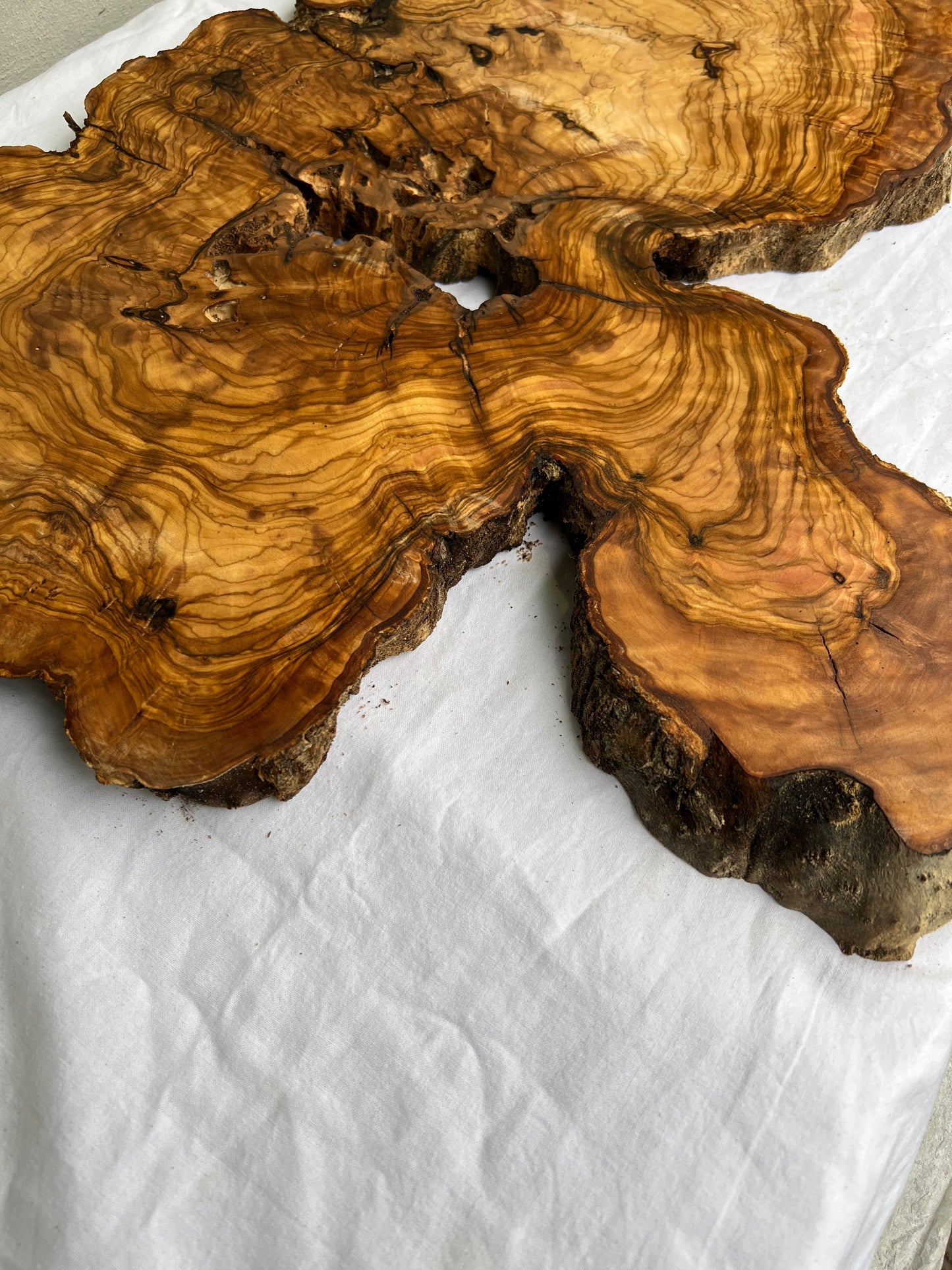 Rare Live Edge Olive Wood Slab (44x64cm) - Super Dry Epoxy Resin Lumber for Coffee Table, Clock & Guitar Body - Unique Natural Grain Art.