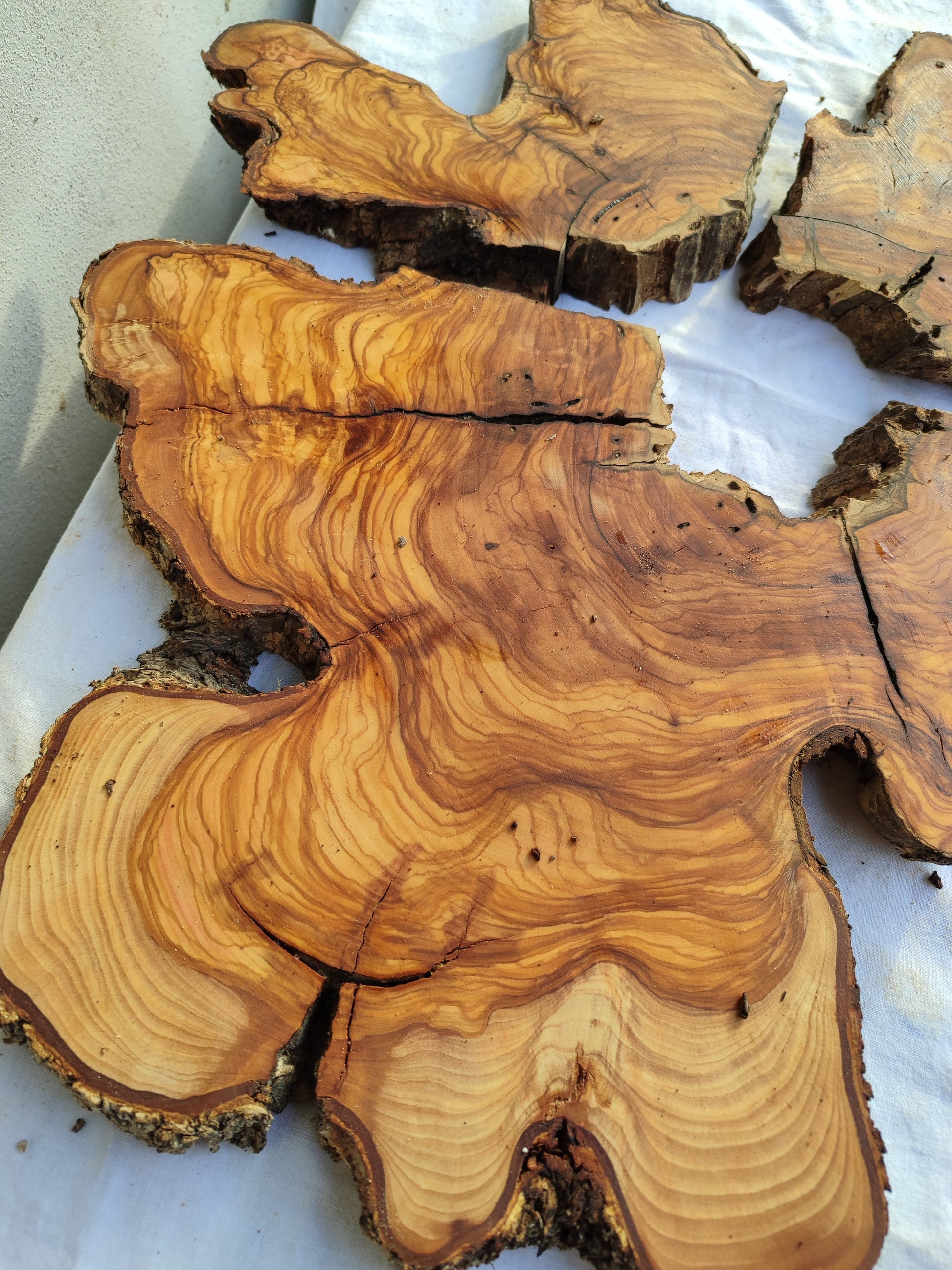 Rare Olive Wood Slab 53x55cm - Live Edge for Epoxy Resin & Coffee Table.