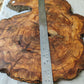Live Edge Olive Wood Slab 38x46cm Epoxy Resin Coffee Table
