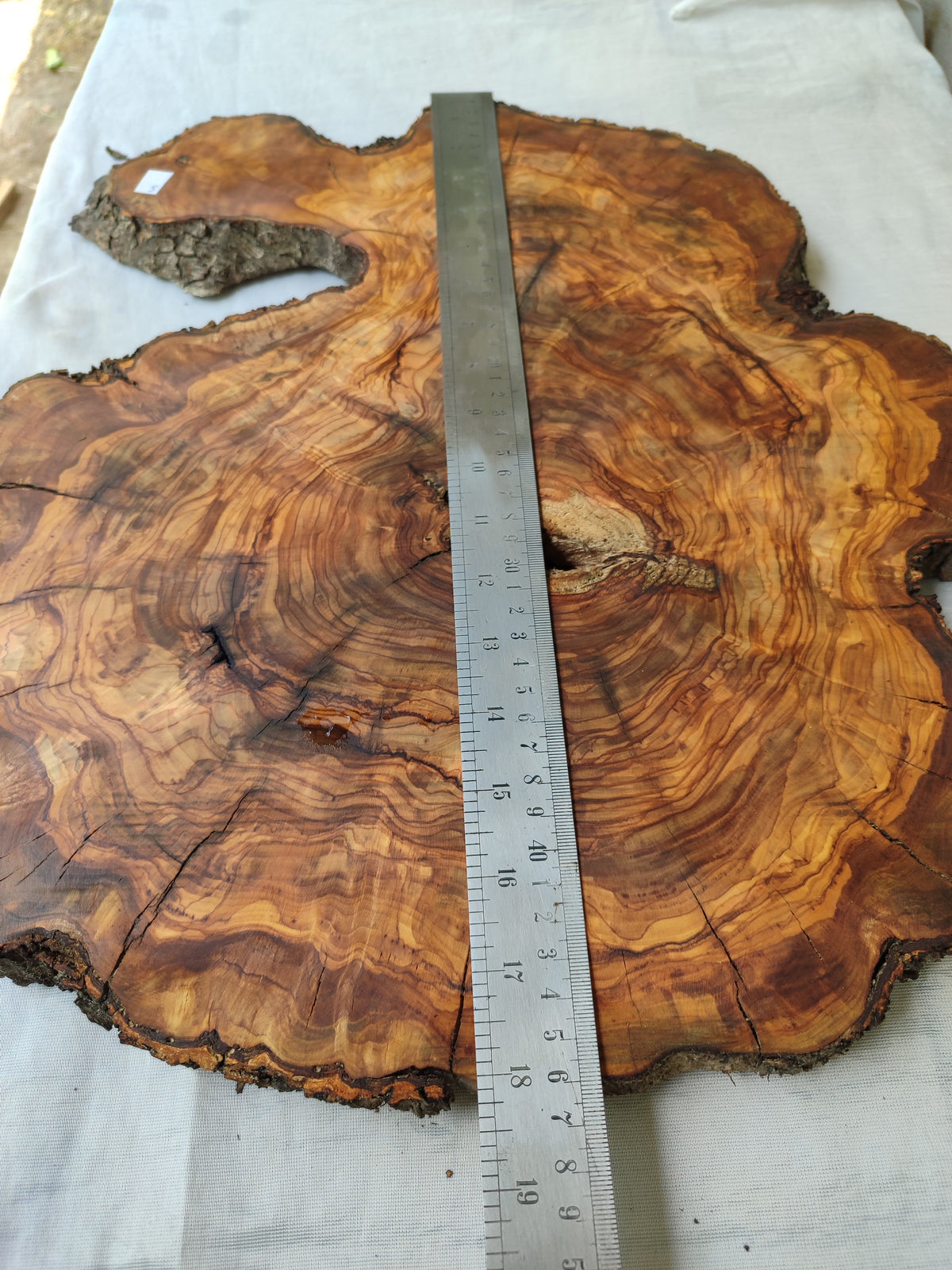 Live Edge Olive Wood Slab 38x46cm Epoxy Resin Coffee Table