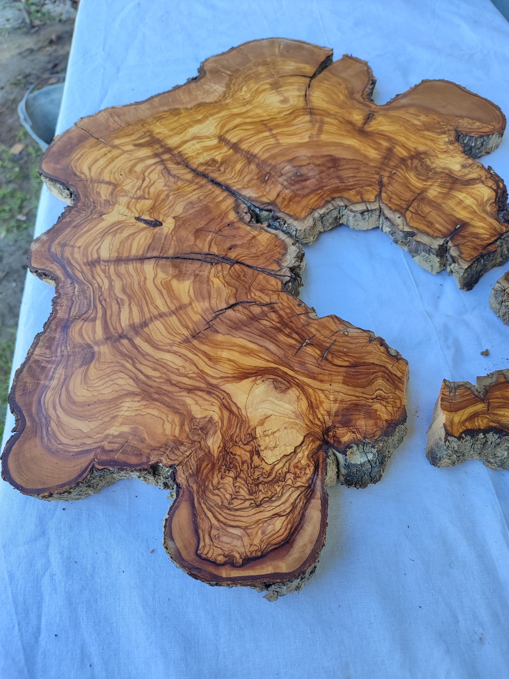 Rare Huge Live Edge Olive Wood Burl Slab 48x52cm - Premium Dry Exotic Lumber for Epoxy Resin Art, Guitar Body & Luxury Coffee Table DIY.