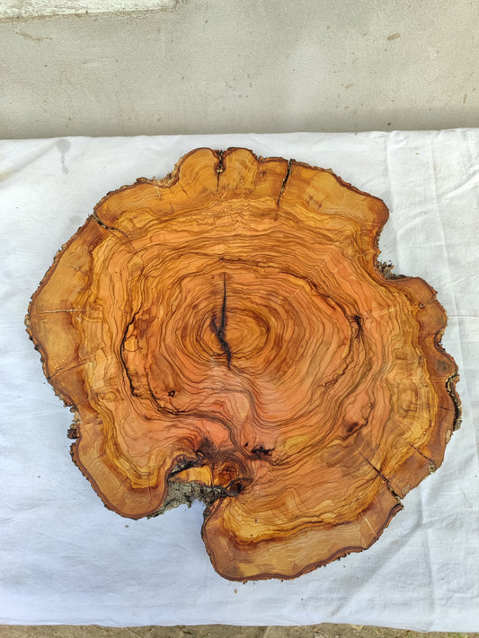 Rare Olive Wood Live Edge Slab – Unique Grain Sustainable Luxury for Epoxy Table & Craft - Olive Generic