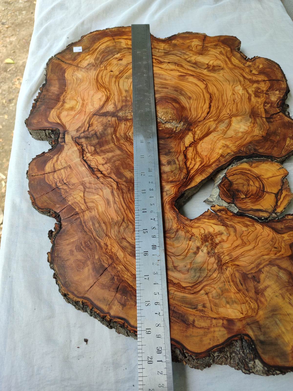 Epoxy Resin Olive Wood Slab Live Edge 37x50cm Coffee Table