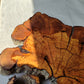 Thick Olive Wood Slab Live Edge 43x44x6cm Epoxy Statement