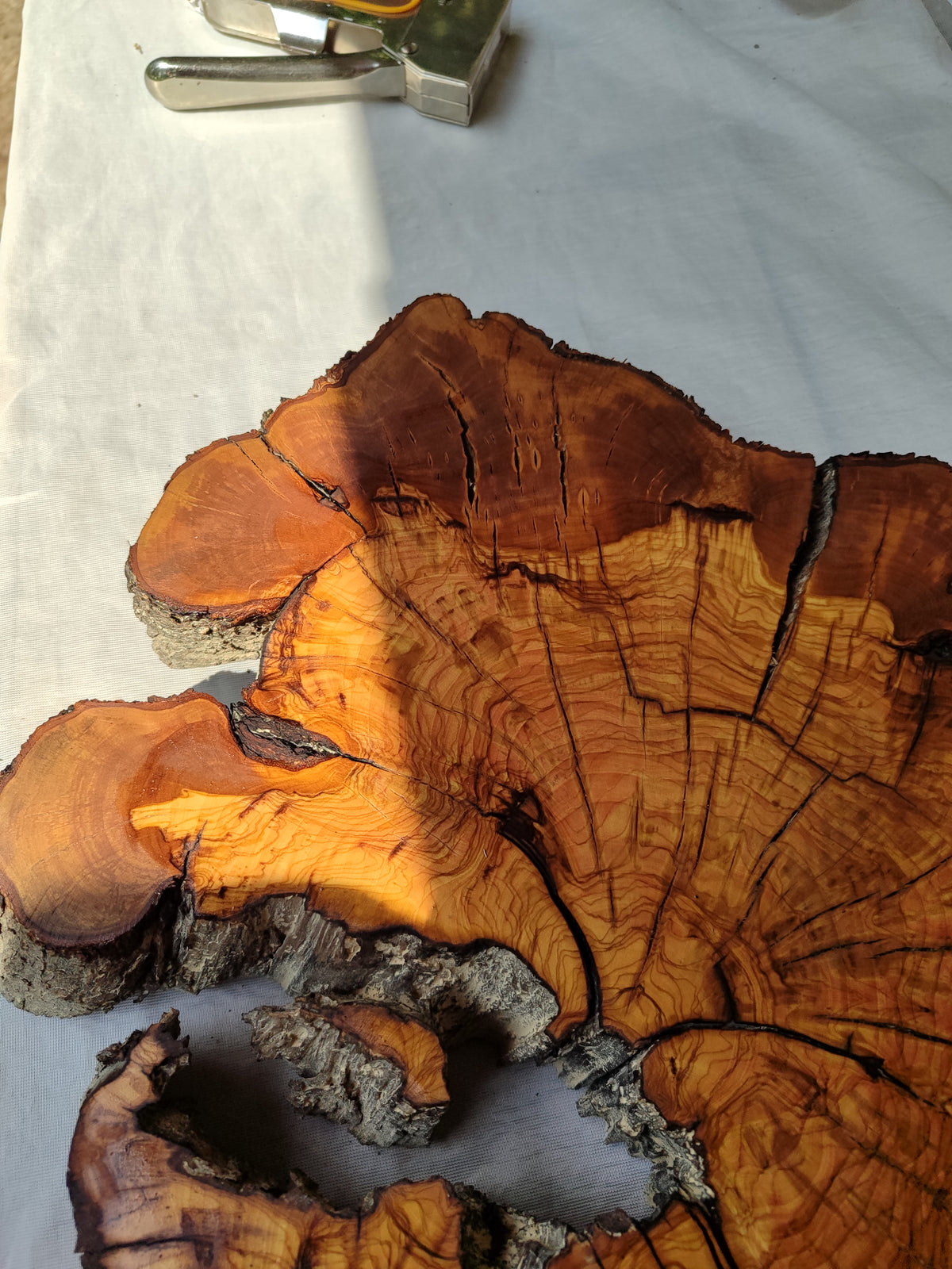 Thick Olive Wood Slab Live Edge 43x44x6cm Epoxy Statement