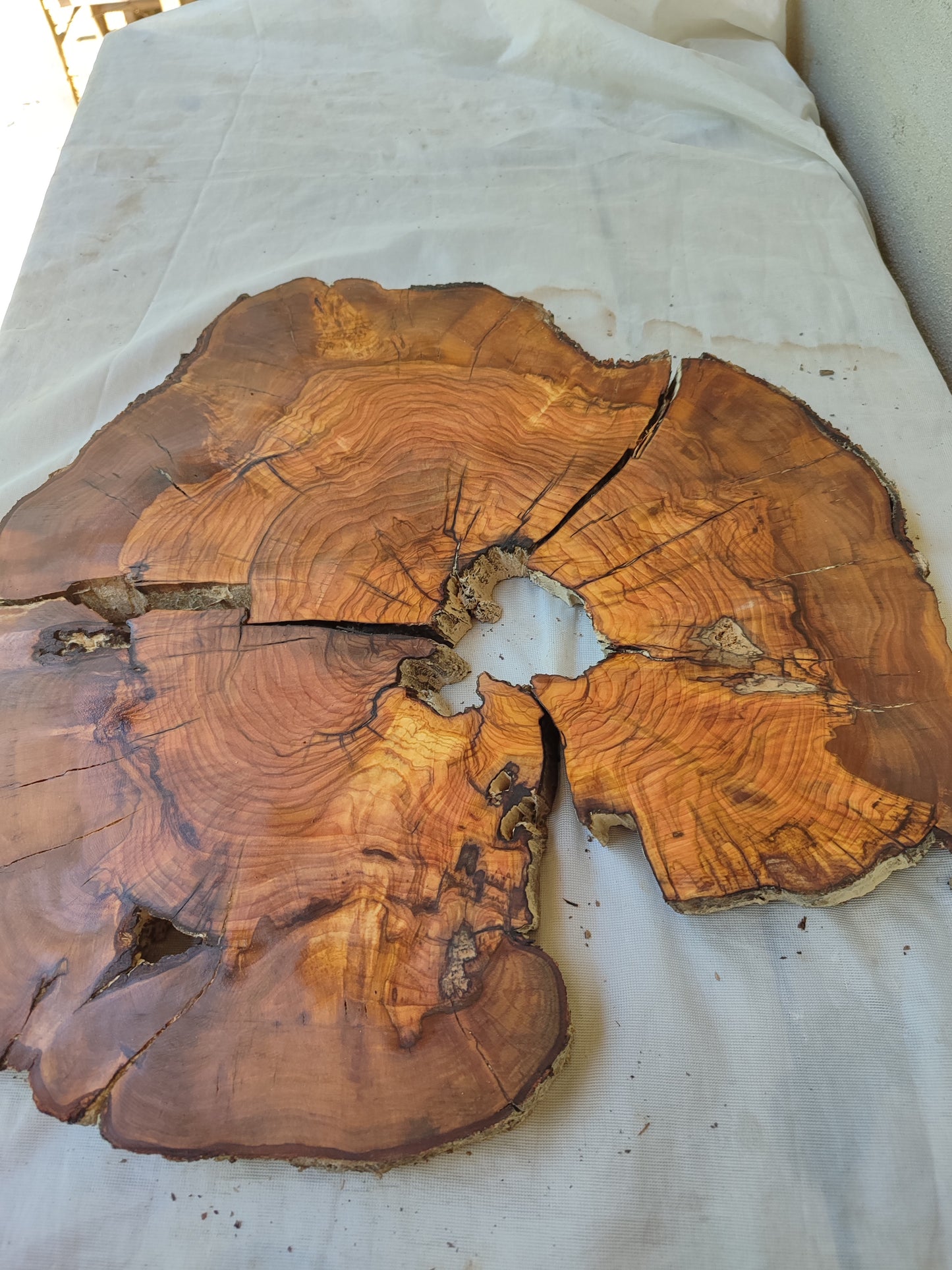 Rare Olive Wood Live Edge Slab – 37x40x2.5 cm, Unique Grain, Sustainable Luxury for Epoxy & Furniture