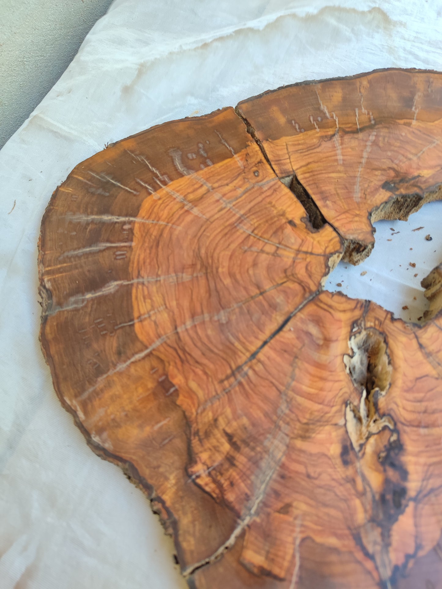 Rare Olive Wood Live Edge Slab – Unique Grain, Premium Natural Luster, 36x38x2.5 cm – Sustainable Luxury for Epoxy & Artisan Crafts