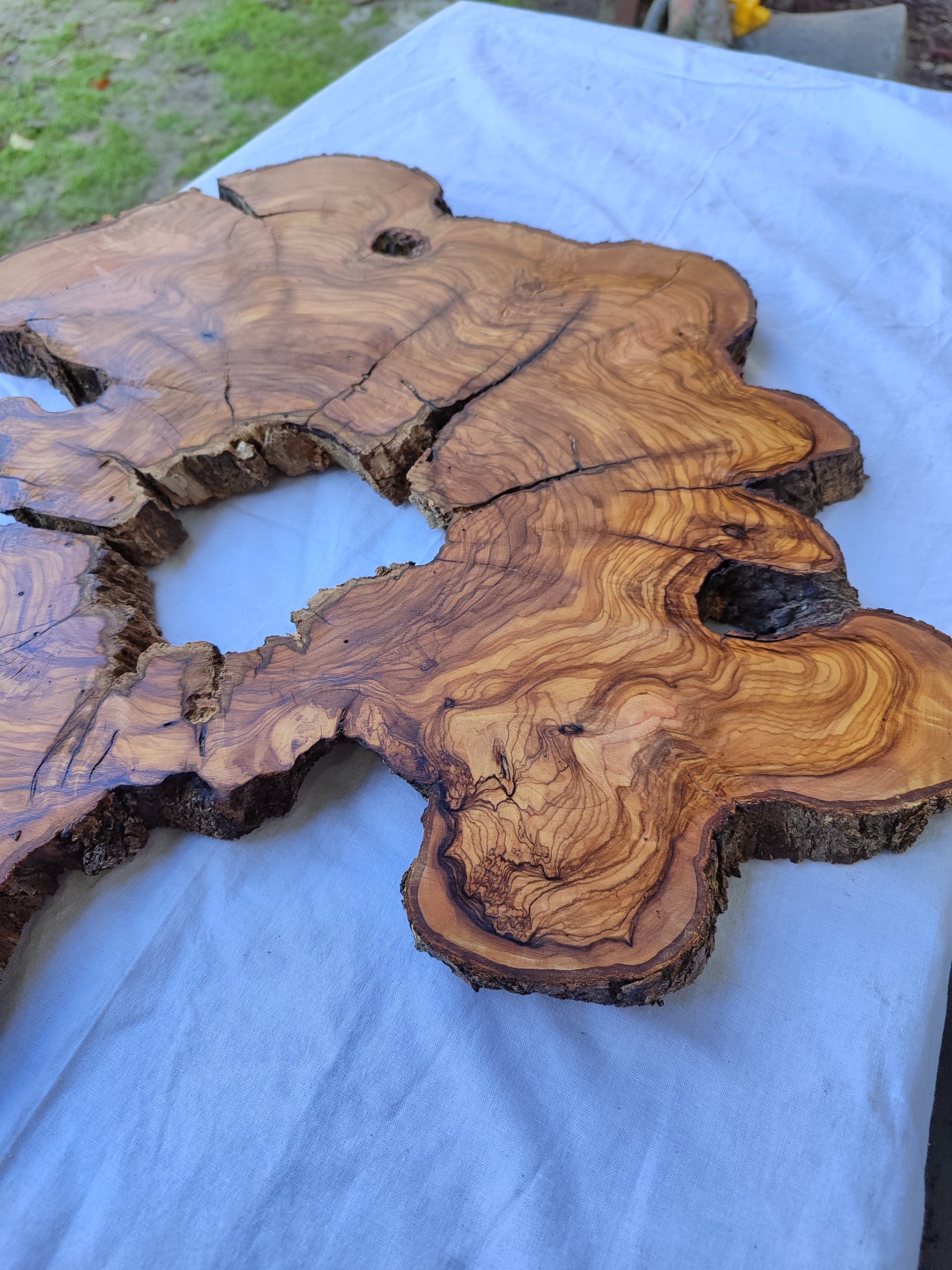 Rare Olive Wood Slab 51x51cm | Live Edge for Epoxy Resin & Coffee Table.