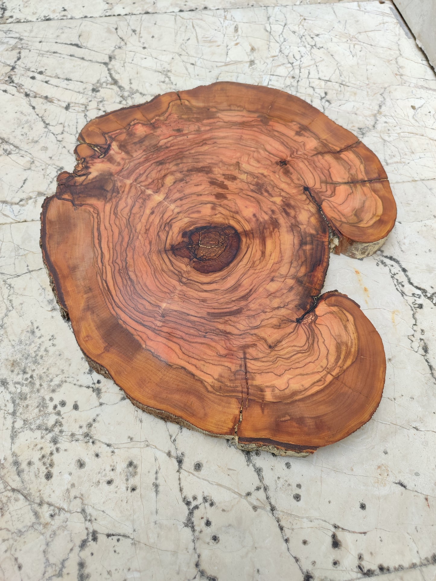 Rare Live Edge Olive Wood Slab - Premium 100% Natural - Unique Grain - Sustainable Luxury - 32x38x2.49 cm