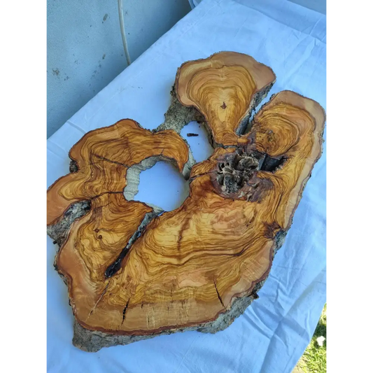 200+ Year Live Edge Olive Wood with Natural Voids for Epoxy Table.