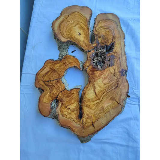 200+ Year Live Edge Olive Wood with Natural Voids for Epoxy Table.