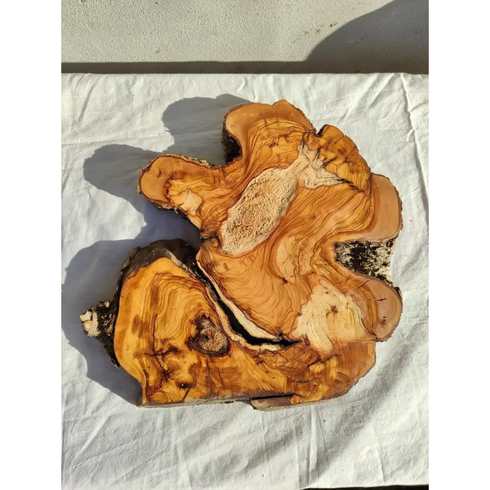 200+ Year Old Live Edge Olive Wood Slice for Epoxy Resin Art.