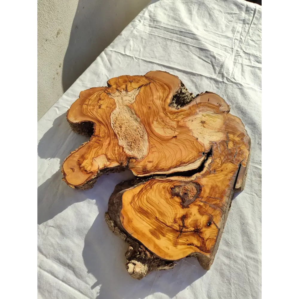 200+ Year Old Live Edge Olive Wood Slice for Epoxy Resin Art.