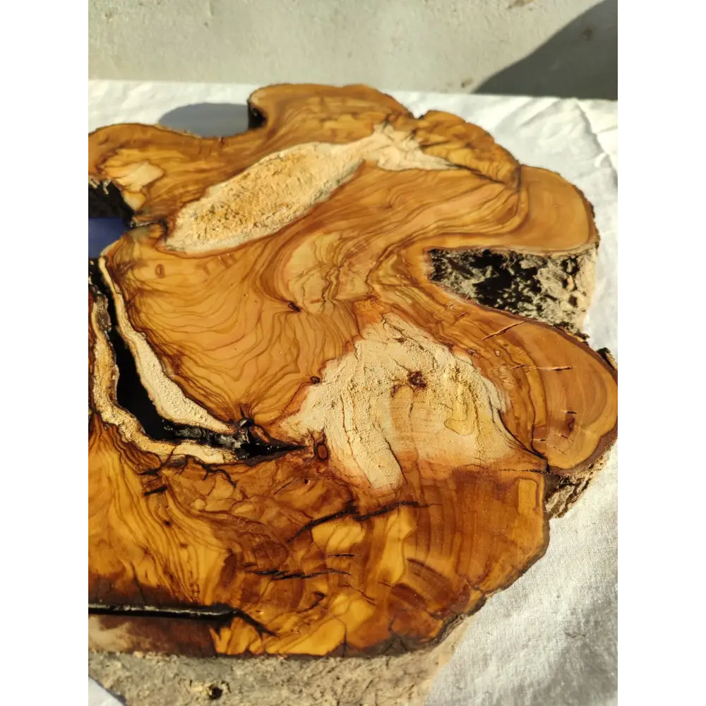 200+ Year Old Live Edge Olive Wood Slice for Epoxy Resin Art.