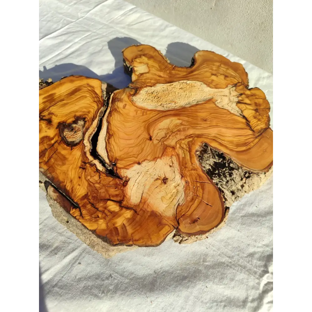 200+ Year Old Live Edge Olive Wood Slice for Epoxy Resin Art.
