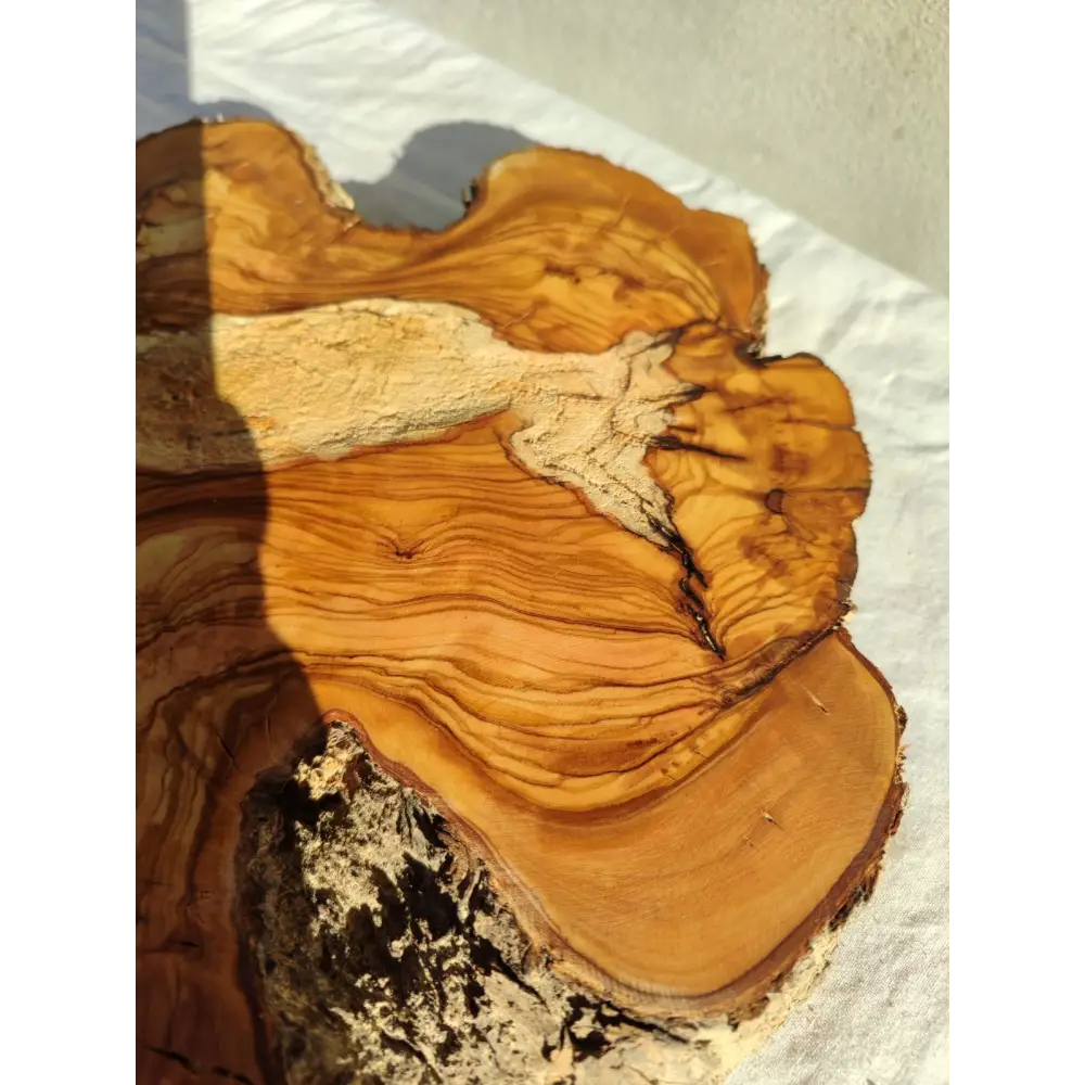 200+ Year Old Live Edge Olive Wood Slice for Epoxy Resin Art.