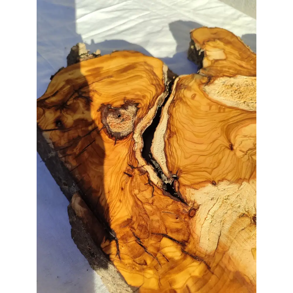 200+ Year Old Live Edge Olive Wood Slice for Epoxy Resin Art.
