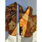 200+ Year Old Live Edge Olive Wood Slice for Epoxy Resin Art.