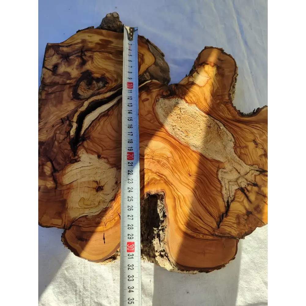 200+ Year Old Live Edge Olive Wood Slice for Epoxy Resin Art.