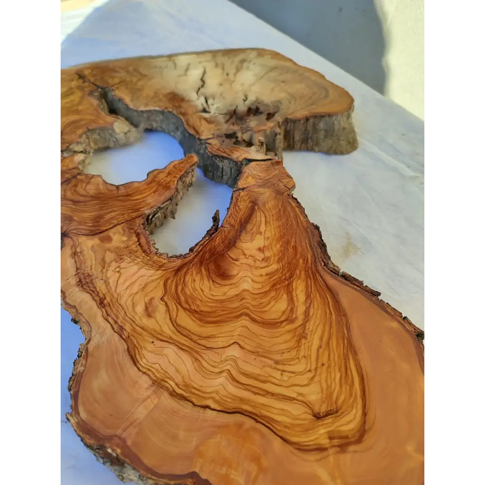 200+ Year Old Olive Wood Slab | Large Live Edge Olive Wood Slice with Voids.