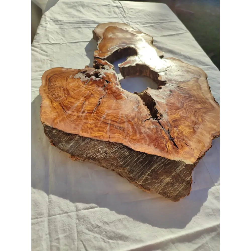 200+ Year Old Olive Wood Slab | Large Live Edge Olive Wood Slice with Voids.