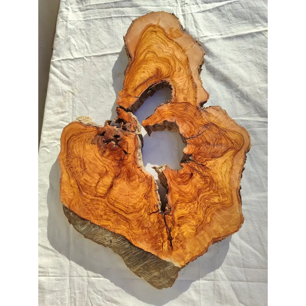 200+ Year Old Olive Wood Slab | Large Live Edge Olive Wood Slice with Voids.