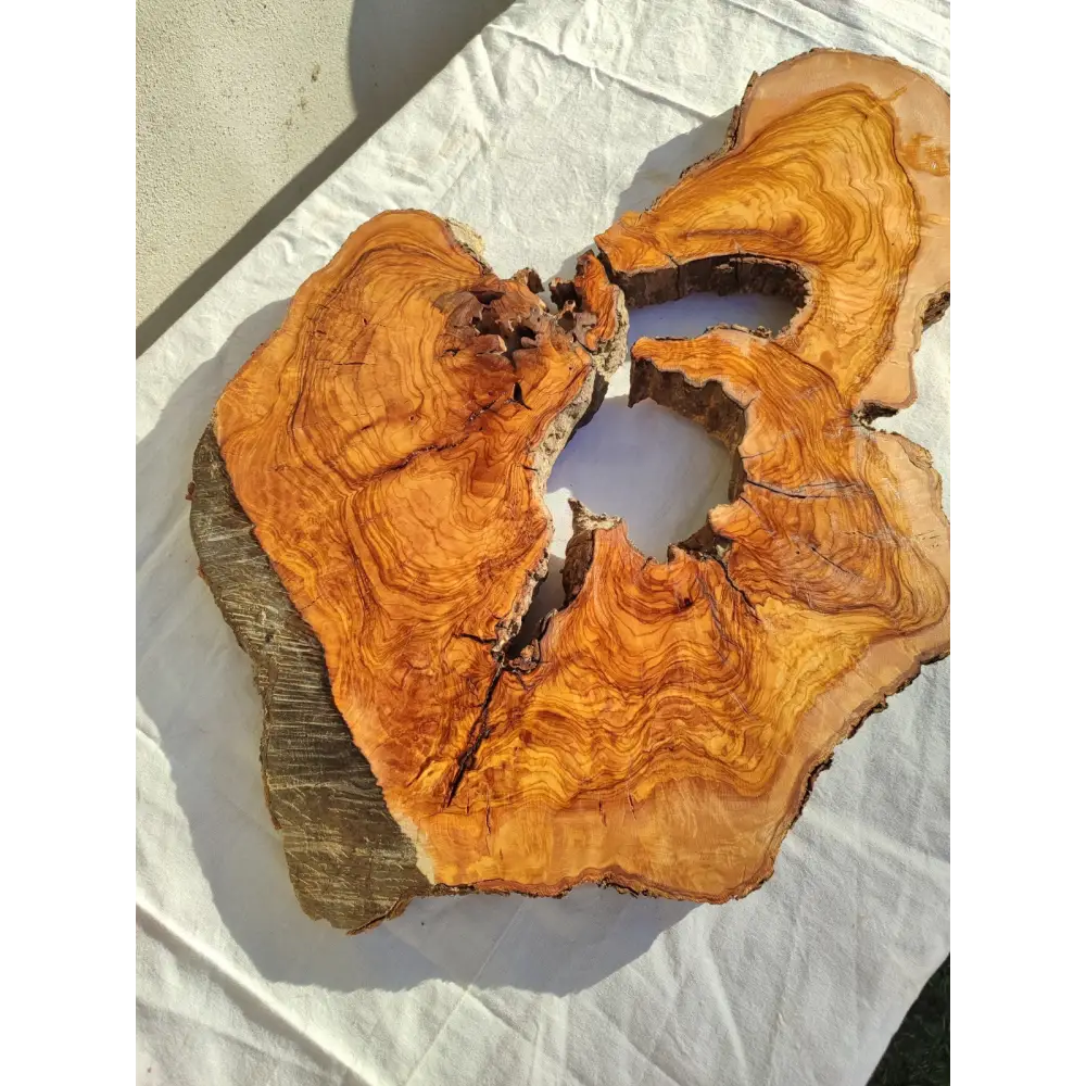 200+ Year Old Olive Wood Slab | Large Live Edge Olive Wood Slice with Voids.