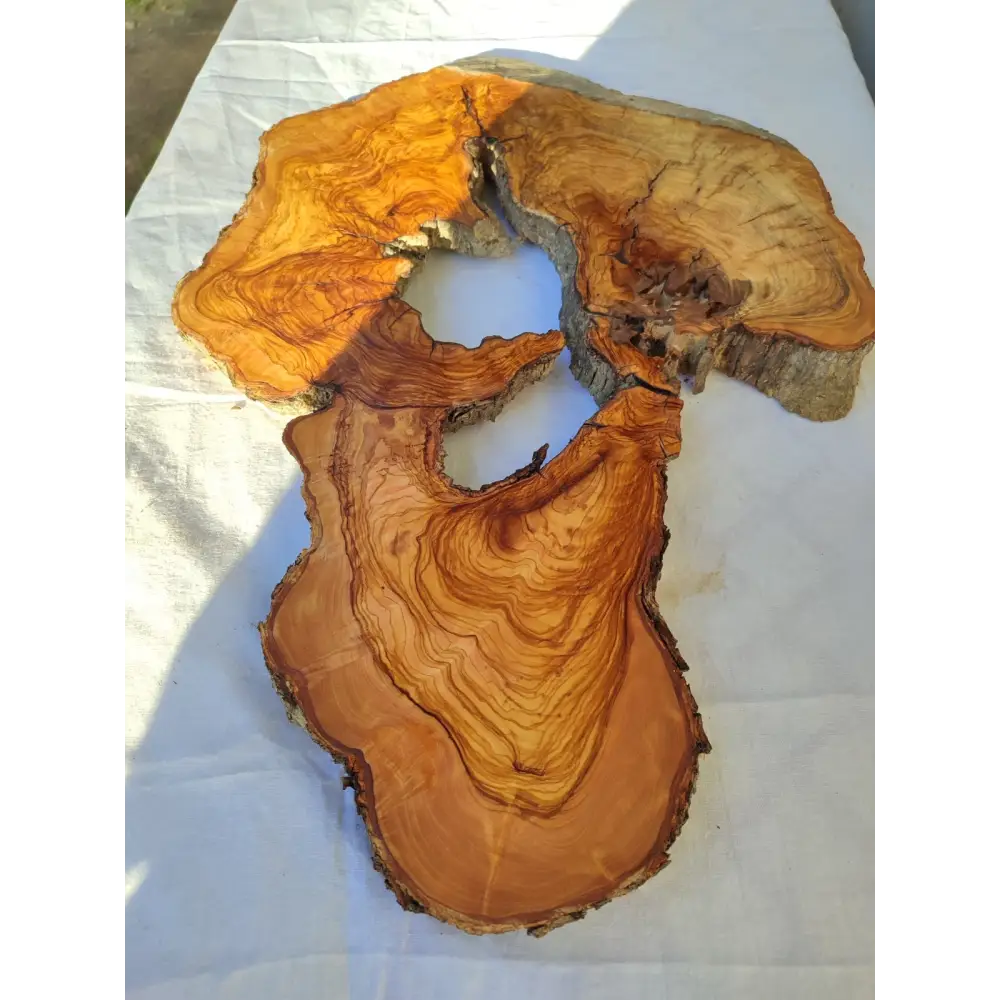 200+ Year Old Olive Wood Slab | Large Live Edge Olive Wood Slice with Voids.