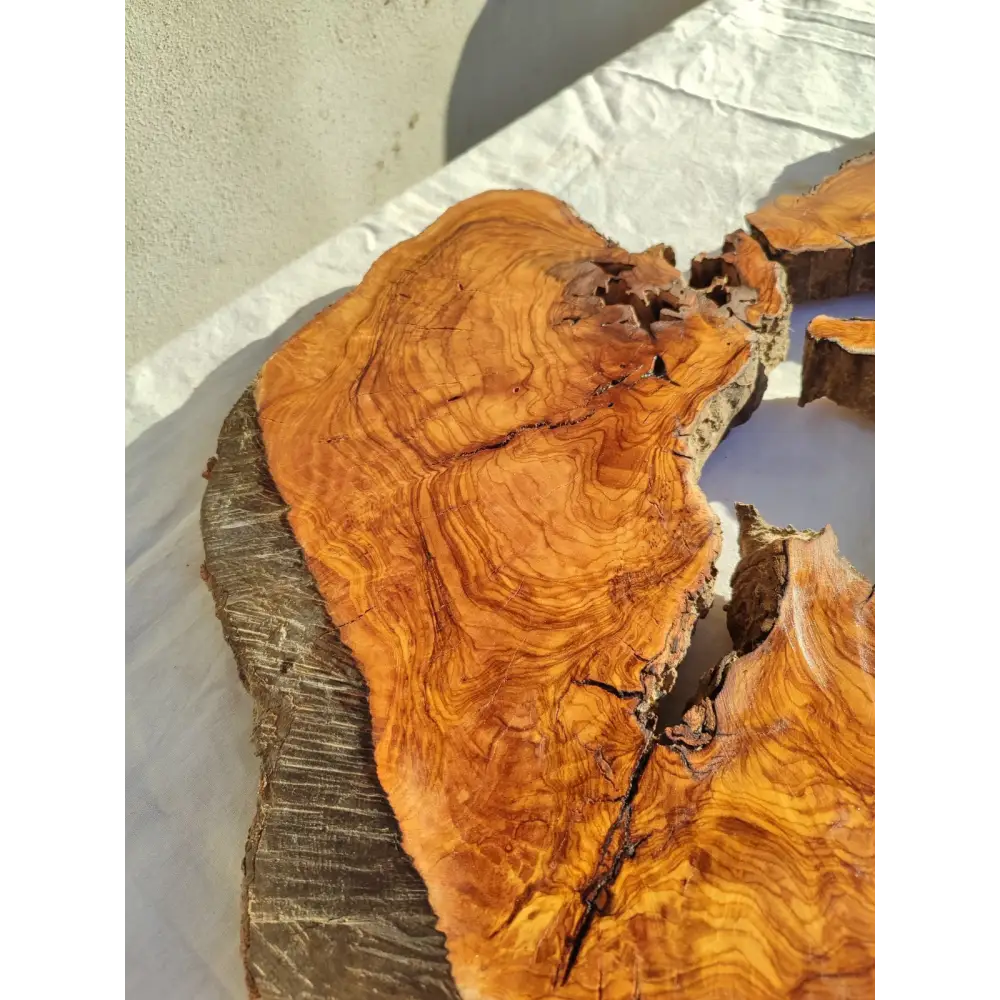 200+ Year Old Olive Wood Slab | Large Live Edge Olive Wood Slice with Voids.