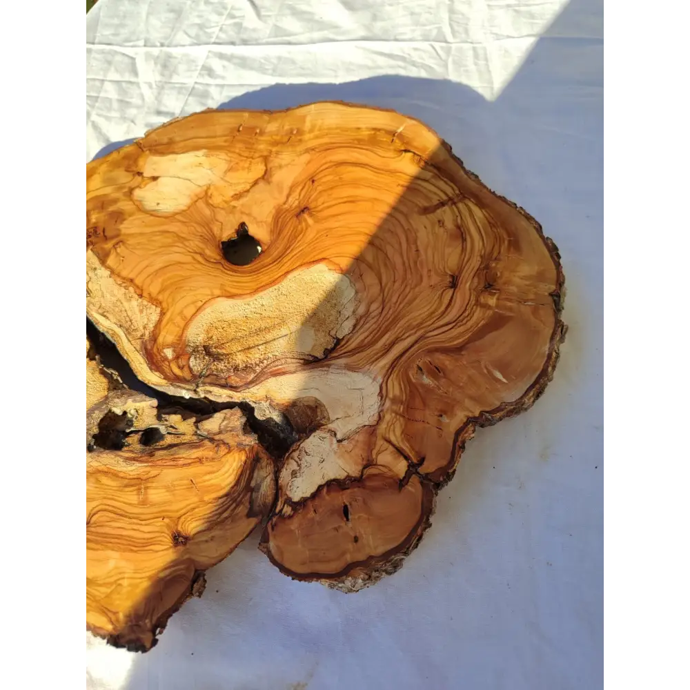 200+ Year Old Olive Wood Slab | Live Edge Olive Wood Slice for Epoxy.