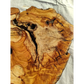 200+ Year Old Olive Wood Slab | Live Edge Olive Wood Slice for Epoxy.