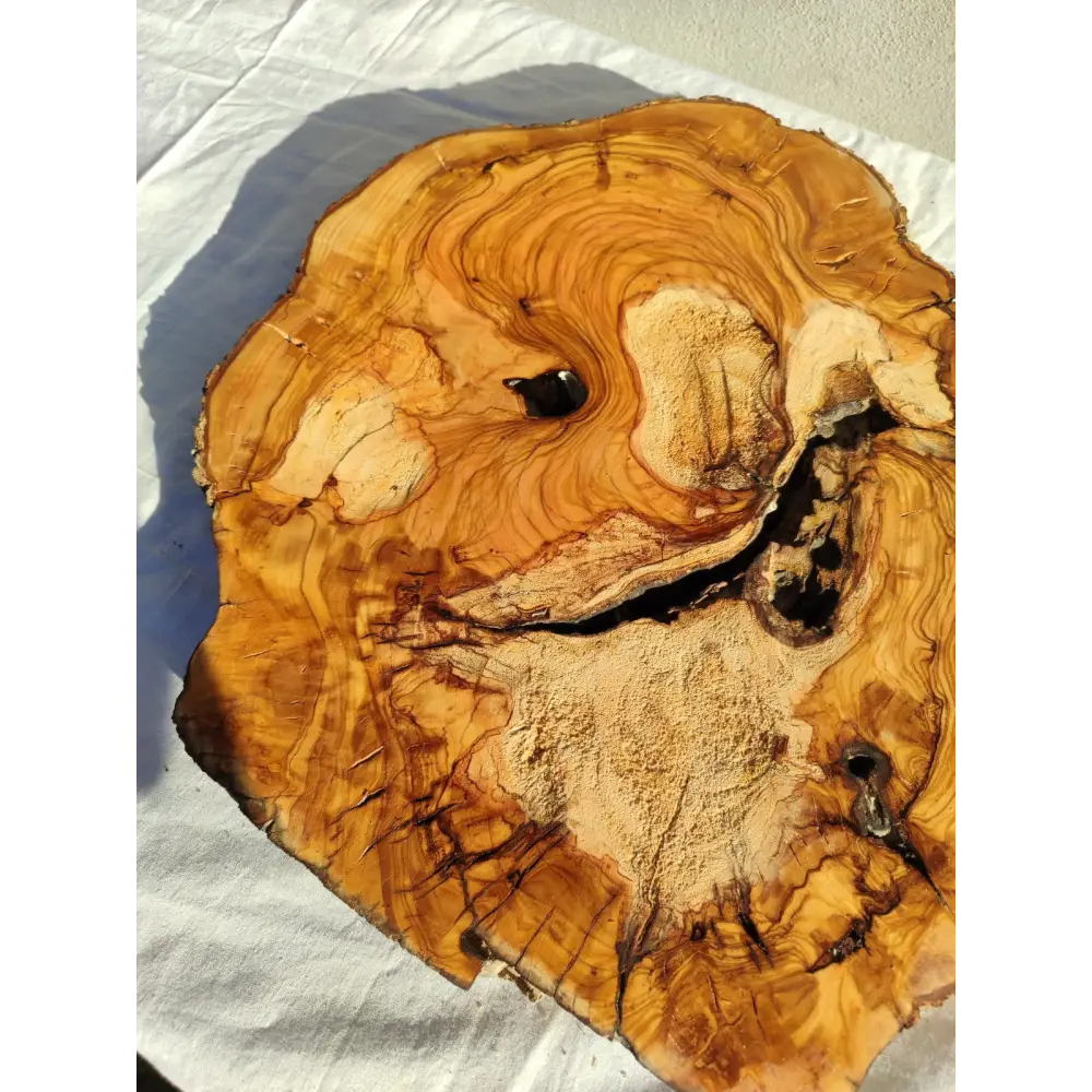 200+ Year Old Olive Wood Slab | Live Edge Olive Wood Slice for Epoxy.