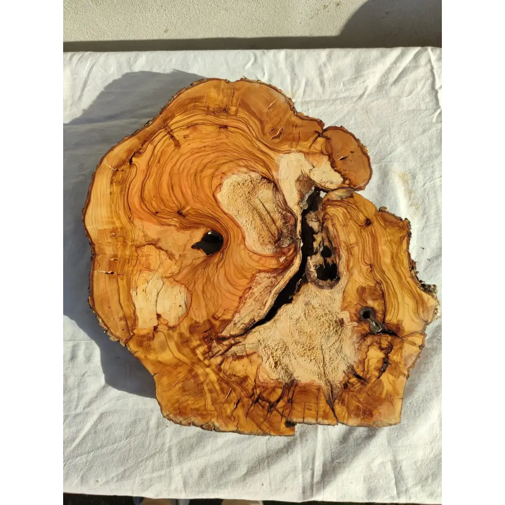 200+ Year Old Olive Wood Slab | Live Edge Olive Wood Slice for Epoxy.