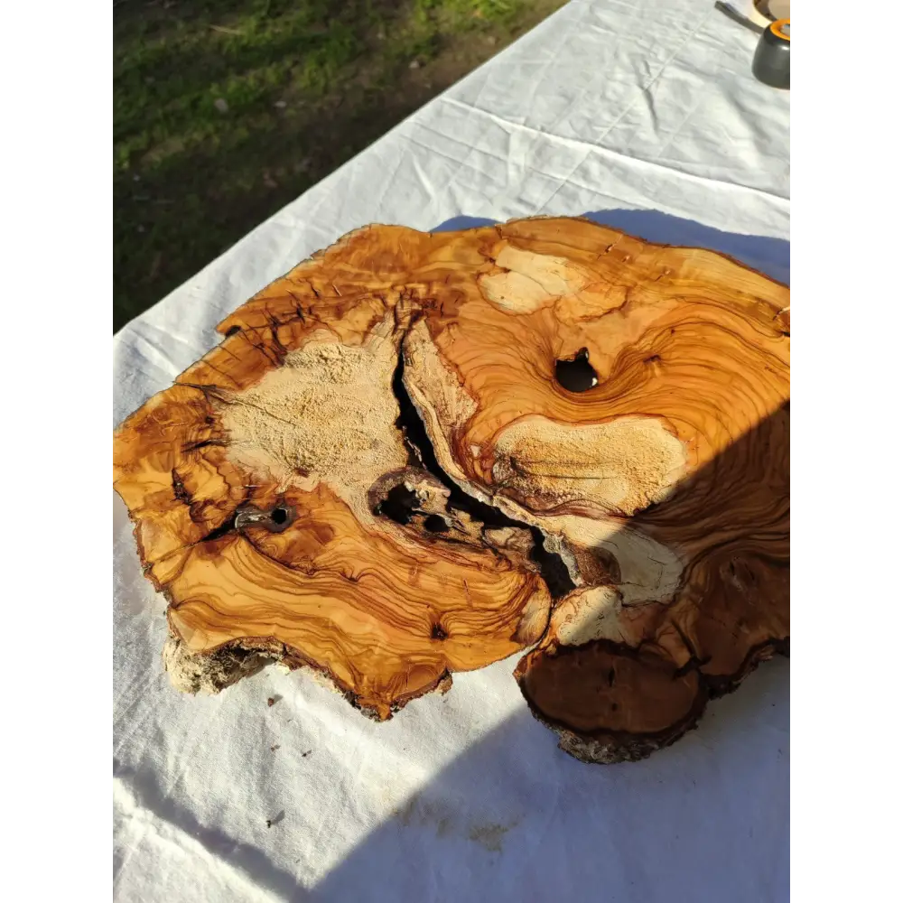 200+ Year Old Olive Wood Slab | Live Edge Olive Wood Slice for Epoxy.