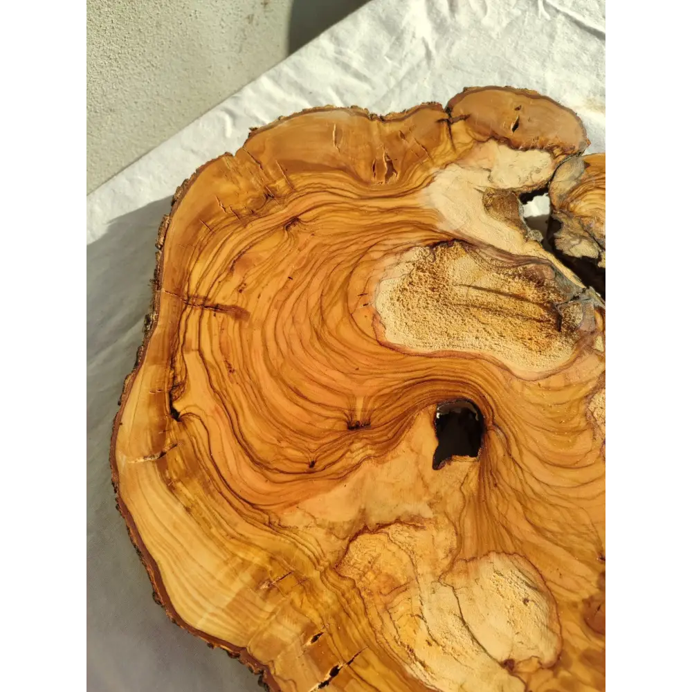 200+ Year Old Olive Wood Slab | Live Edge Olive Wood Slice for Epoxy.