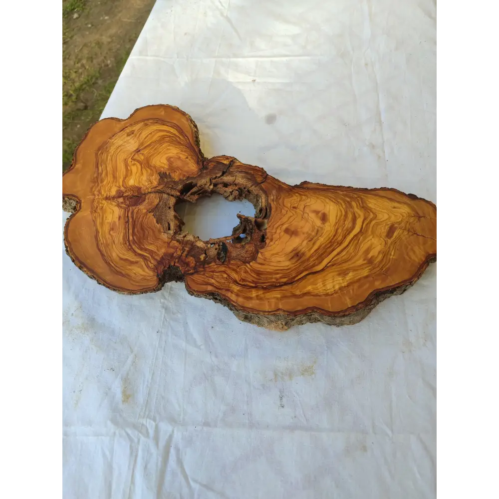 200+ Year Old Olive Wood Slab | Live Edge Olive Wood Slice with Natural Void for Epoxy Art.