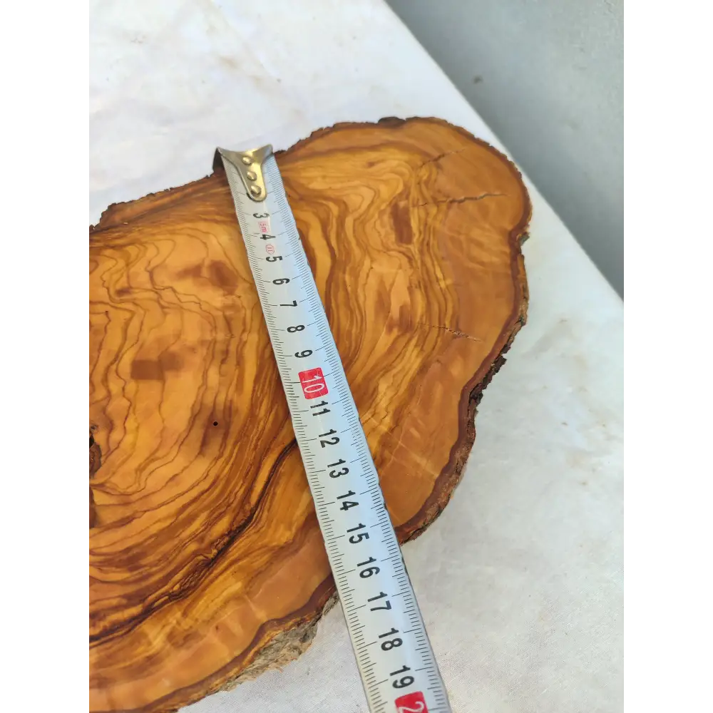200+ Year Old Olive Wood Slab | Live Edge Olive Wood Slice with Natural Void for Epoxy Art.